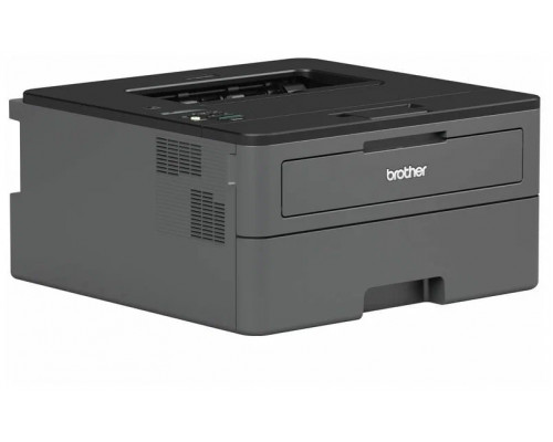 Принтер лазерный Brother HL-L2371DN (HLL2371DNR1) Принтер лазерный Brother HL-L2371DN (HLL2371DNR1)