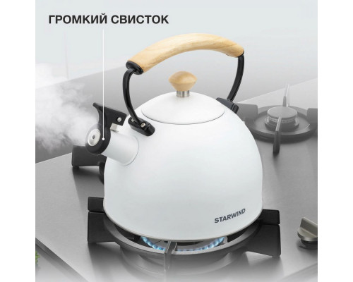 Чайник STARWIND Chef Concept SW-CH1510 черный