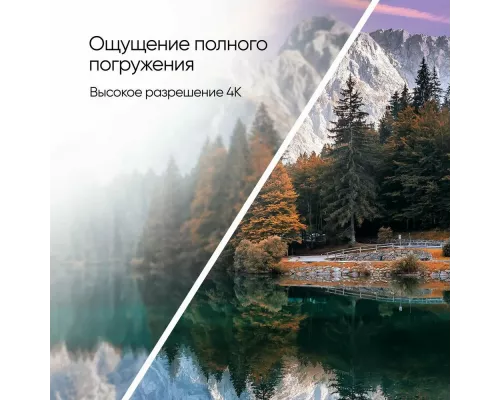 Телевизор Topdevice TDTV50CS06U_BK черный