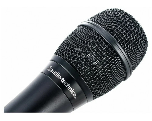 Микрофон Audio-Technica AT2010 черный