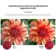 Телевизор Samsung UE58AU7570UX
