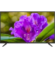 Телевизор SKYLINE 43LT5901