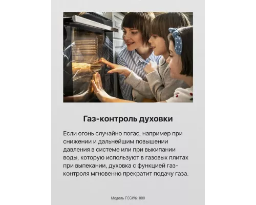 Кухонная плита Hansa FCGW61000 белый
