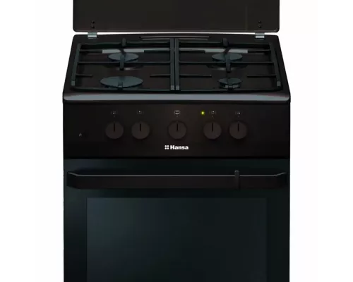 Кухонная плита Hansa FCMB53020