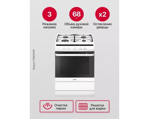 Кухонная плита Hansa FCMW63000