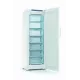 Морозильная камера Indesit DFZ 5175