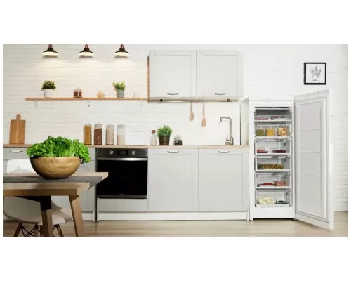 Морозильная камера Indesit DSZ 4150.1