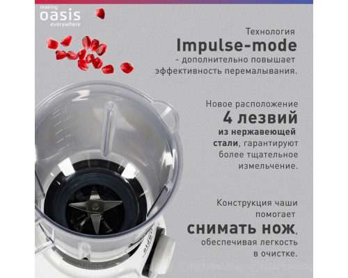 Блендер OASIS ST-120B