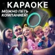 Портативная колонка ELTRONIC 20-83 DANCE BOX 1500
