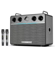 Портативная колонка W-King T16PLUS