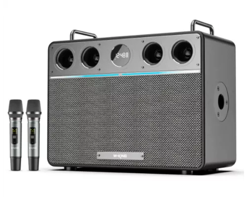 Портативная колонка W-King T16PLUS