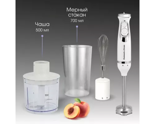 Блендер Zigmund & Shtain BH-244 M