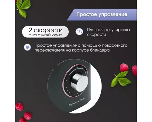 Блендер Zigmund & Shtain BS-442 D