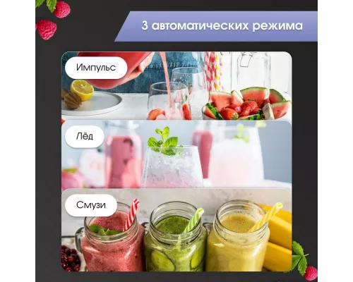 Блендер Zigmund & Shtain BS-445 D