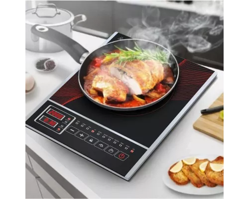 Настольная плита Zigmund & Shtain ZIP-555