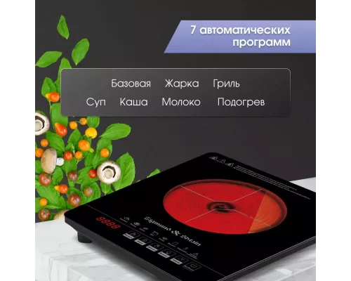 Настольная плита Zigmund & Shtain ZIP-558