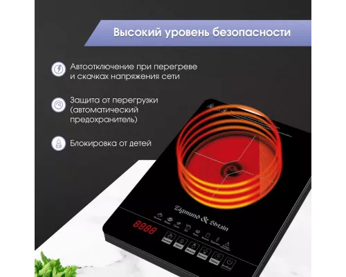 Настольная плита Zigmund & Shtain ZIP-558