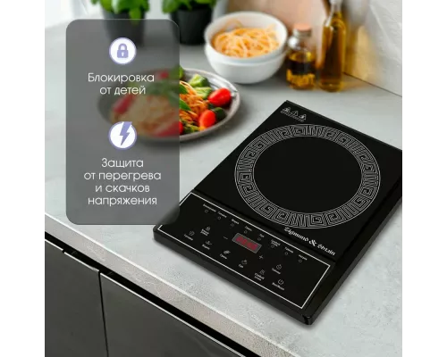 Настольная плита Zigmund & Shtain ZIP-571