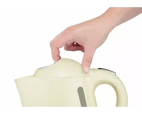 Чайник Tefal BF925232 песочный