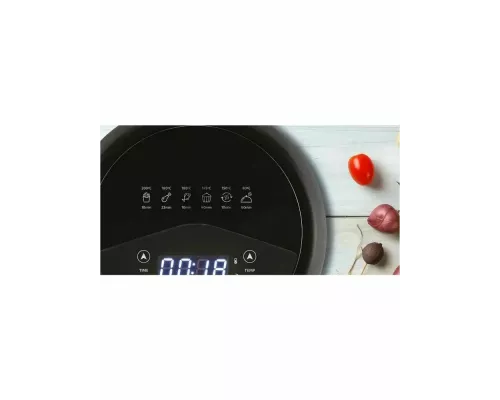 Гриль Zelmer ZAF2000 Digital