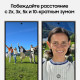 Смартфон Samsung S24 Ultra 12/256GB Gray
