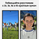 Смартфон Samsung S24 Ultra 12/512GB Black