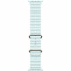 Смарт-часы Apple Watch Ultra 2 (2024) Natural Ice Blue Ocean Band (USA)