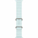 Смарт-часы Apple Watch Ultra 2 (2024) Natural Ice Blue Ocean Band (USA)