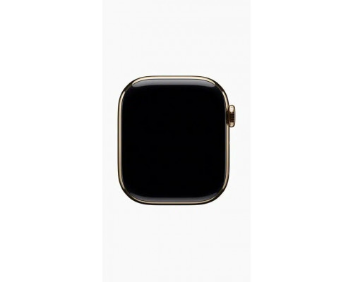 Смарт-часы Apple Watch S10 46mm Gold Titanium Gold Link Bracelet (MX183) (USA)