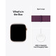 Смарт-часы Apple Watch S10 42mm Rose Gold Plum Loop (USA)