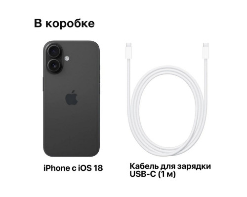 Смартфон Apple iPhone 16 256GB Black (India)