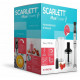 Блендер SCARLETT SC-HB42F86 Black
