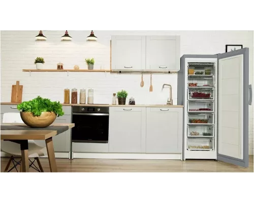 Морозильная камера Indesit DSZ 5175 G