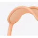 Наушники Apple AirPods Max 2024 Orange