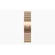 Смарт-часы Apple Watch S10 46mm Gold Titanium Gold Link Bracelet (MX183) (USA)