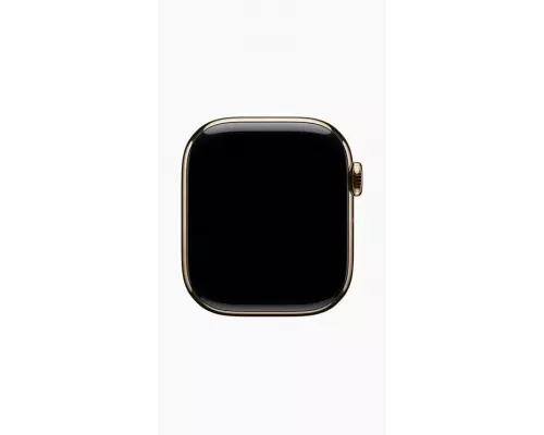 Смарт-часы Apple Watch S10 46mm Gold Titanium Gold Link Bracelet (MX183) (USA)
