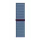 Смарт-часы Apple Watch SE2 40mm Silver Winter Blue Loop (USA)