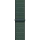 Смарт-часы Apple Watch SE2 44mm Starlight Lake Green Loop (USA)