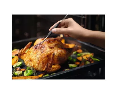 Духовой шкаф Electrolux EOD5C71X серебристый/черный