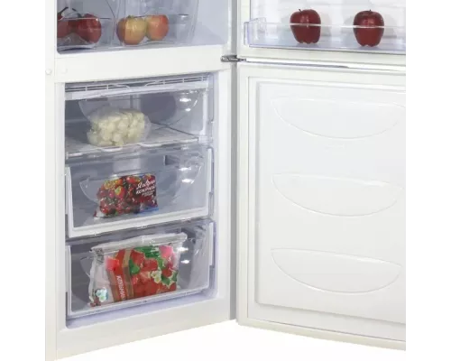 Холодильник DON R-291 BI белая искра