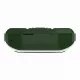 Мобильный телефон Maxvi P101 green