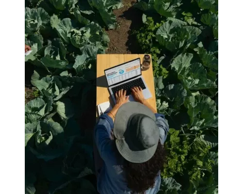 Ноутбук Apple MacBook Pro 14 M4 Pro 24/512GB Black MX2H3 (USA)