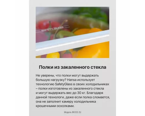 Встраиваемый холодильник Hansa BK333.2U