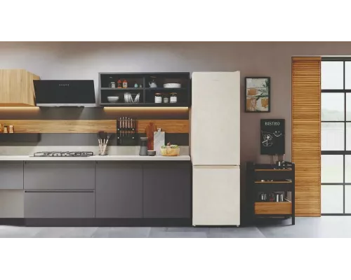 Холодильник Hotpoint HT 4200 AB мраморный