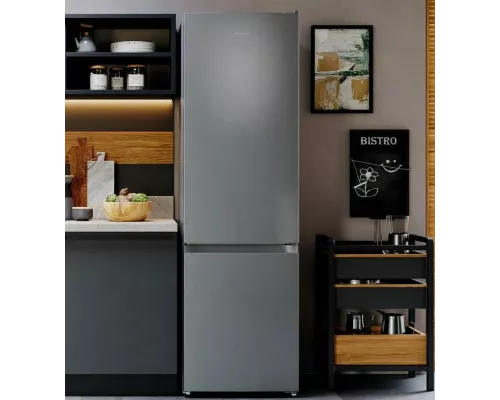Холодильник Hotpoint HT 4200 S серебристый