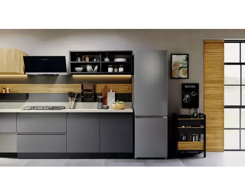 Холодильник Hotpoint HT 4200 S серебристый