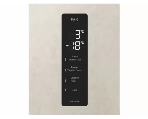 Холодильник LG GC-B509FEPW