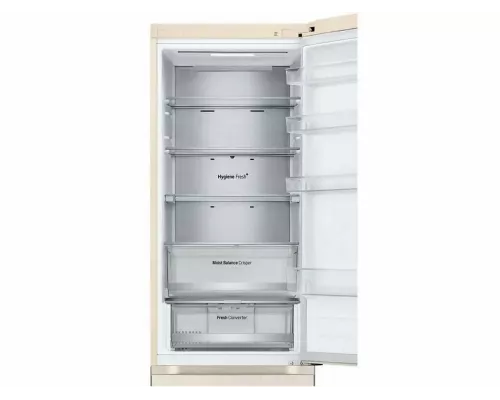 Холодильник LG GC-B509FEPW
