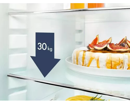 Холодильник Liebherr CTel 2931-26 001 серебристый