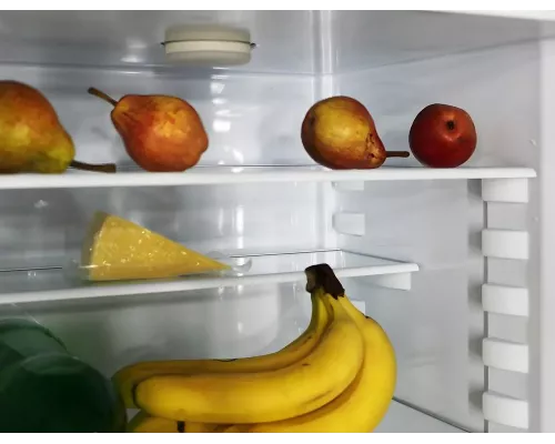 Холодильник ОРСК 171 G графит